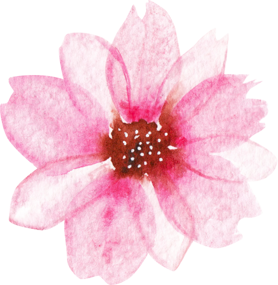 Watercolor pink flower